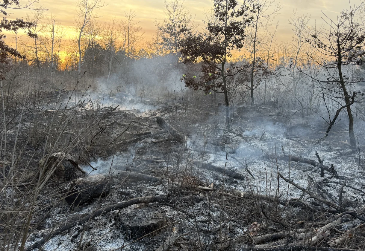 20260416 Verordnung gegen Waldbrände im Bezirk Gänserndorf